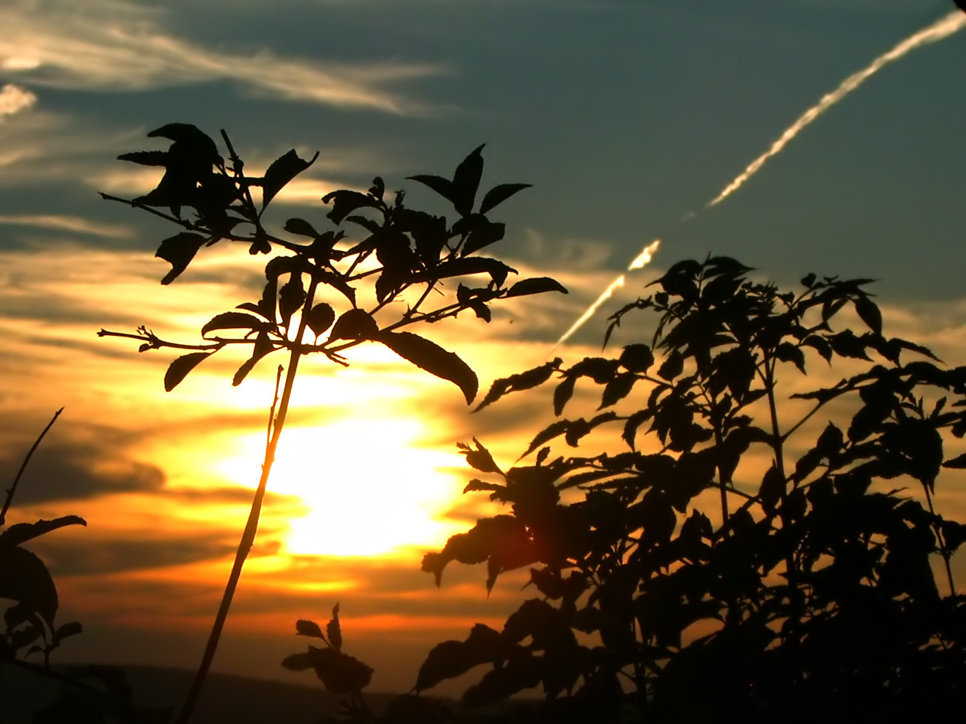 Fonds d'cran Nature Couchers et levers de Soleil Couch de soleil