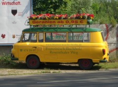 Fonds d'cran Voitures Bus fleuri