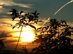 Fonds d'cran Nature Couch de soleil