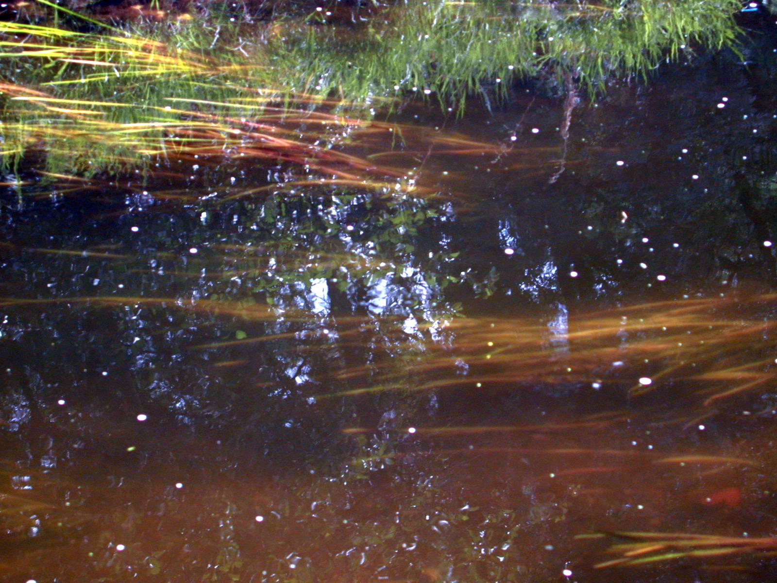 Wallpapers Nature Water - Reflection Reflets