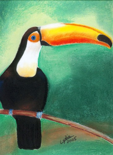 Wallpapers Art - Pencil Animals - Birds - Raptors TOUCAN