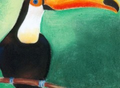 Wallpapers Art - Pencil TOUCAN