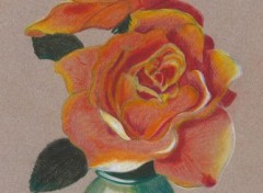 Wallpapers Art - Pencil Roses