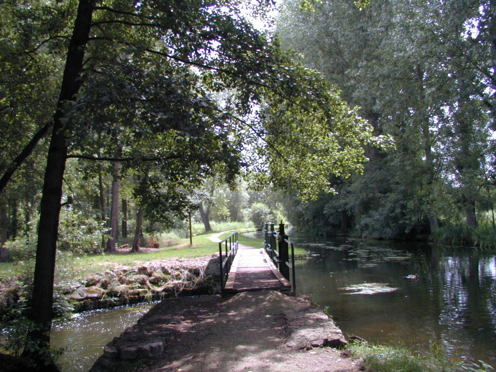 Fonds d'cran Nature Arbres - Forts Sentier des amoureux