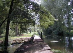 Fonds d'cran Nature Sentier des amoureux