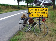 Fonds d'cran Sports - Loisirs 7me Etape Tour de France Lunville-Karlsruhe (1/2)