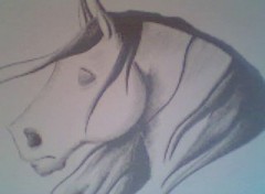 Wallpapers Art - Pencil Cheval