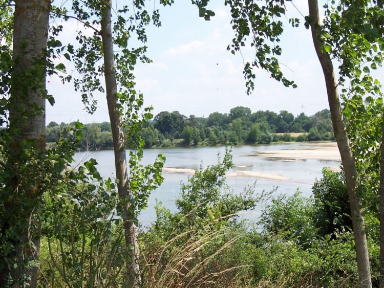 Wallpapers Nature Rivers - Torrents La Loire