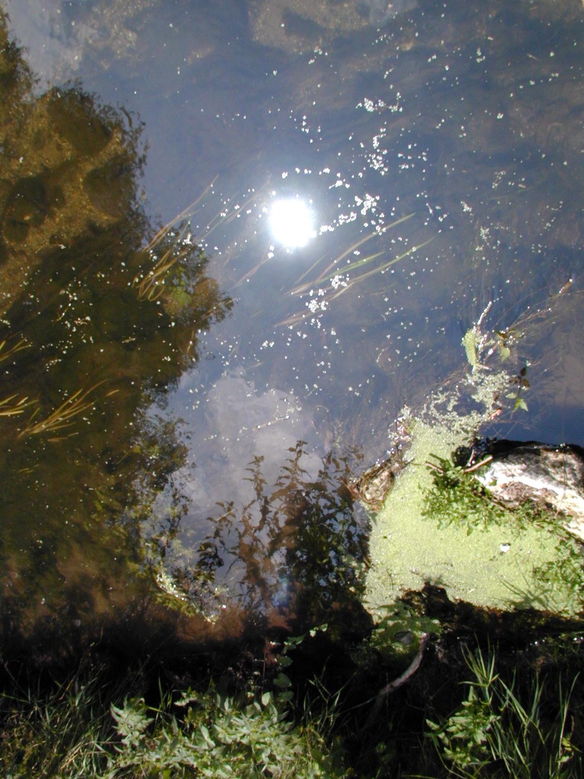 Wallpapers Nature Water - Reflection Reflets