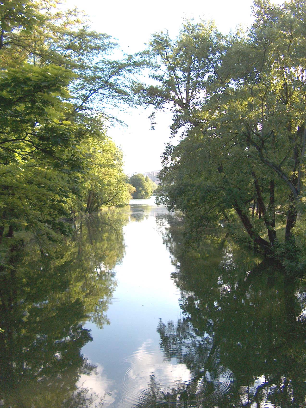 Wallpapers Nature Lakes - Ponds Miroir sur le lac