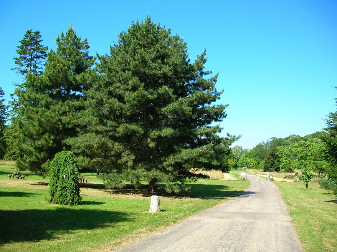 Wallpapers Nature Parks - Gardens Arboretum de Chvreloup