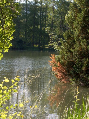 Wallpapers Nature Lakes - Ponds Un autre reflet