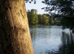 Wallpapers Nature Le lac du Parc de la tte d'or