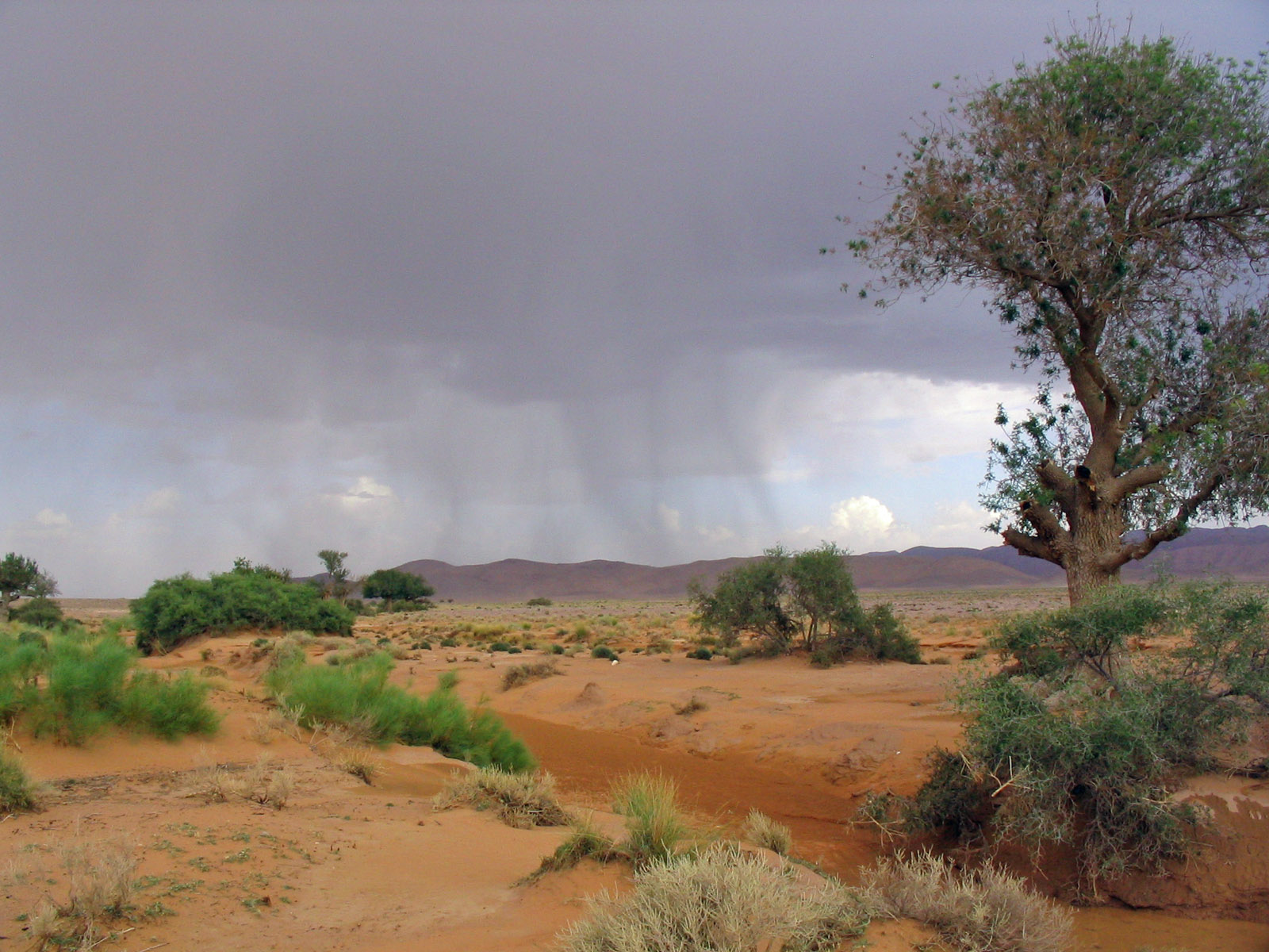 Fonds d'cran Nature Dserts Orage plateau Marocain