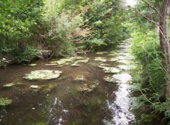 Fonds d'cran Nature Ruisseau