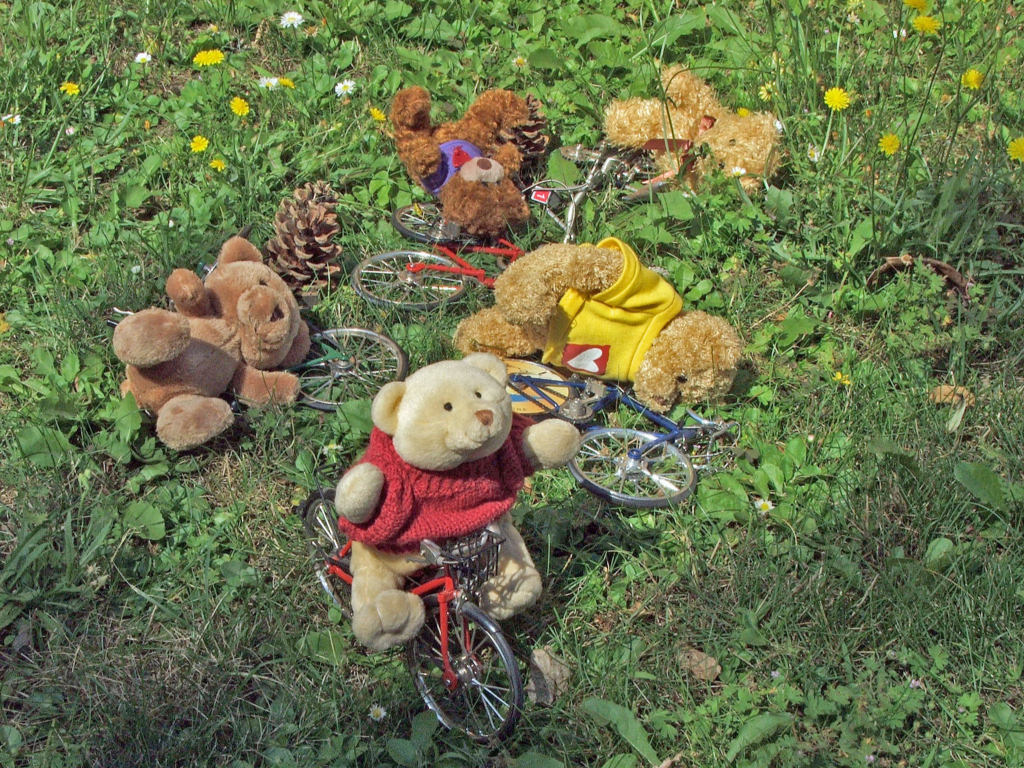 Fonds d'cran Objets Peluches Exlusif !14 Juillet : Tour du Kochersberg - Chute collective, abandon de Feetstrong le maillot jaune !