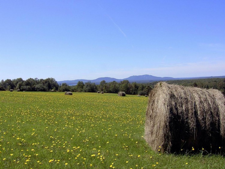 Fonds d'cran Nature Campagne l't