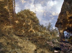 Wallpapers Nature Reflets