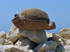 Fonds d'cran Voyages : Asie Ile de Chypre : Limassol