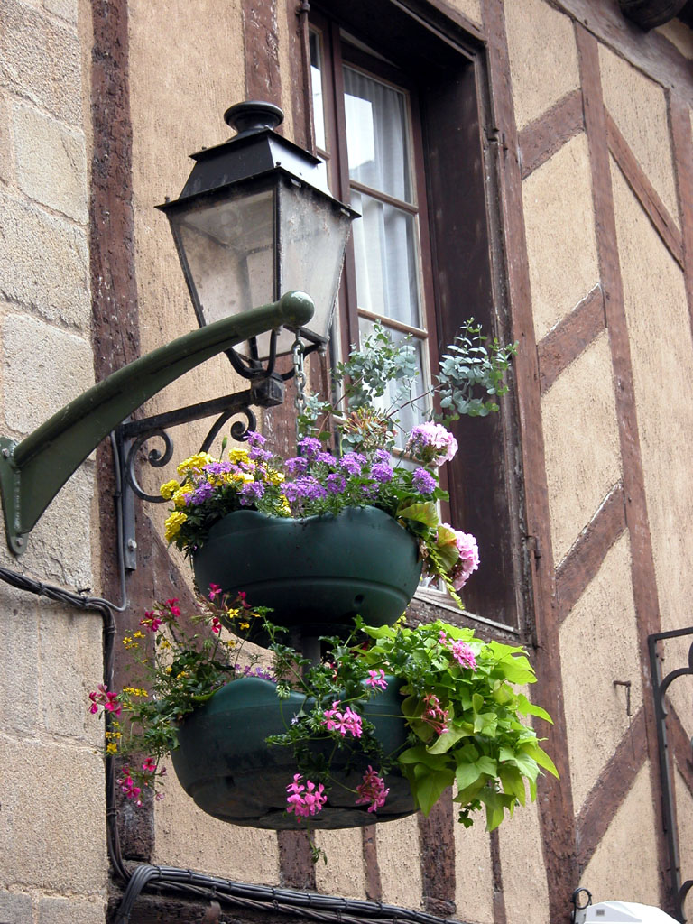 Fonds d'cran Nature Fleurs A Vannes.