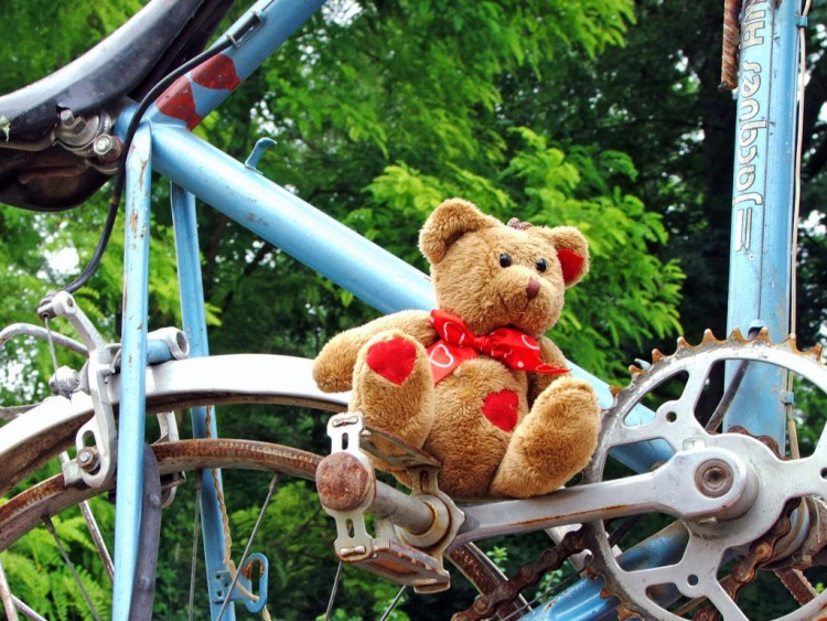 Wallpapers Objects Cuddly Petit Ours cherche une burette d'huile...