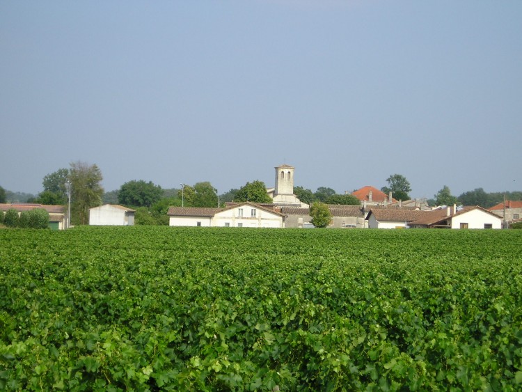 Wallpapers Trips : Europ France > Aquitaine Cubnezais- Gironde