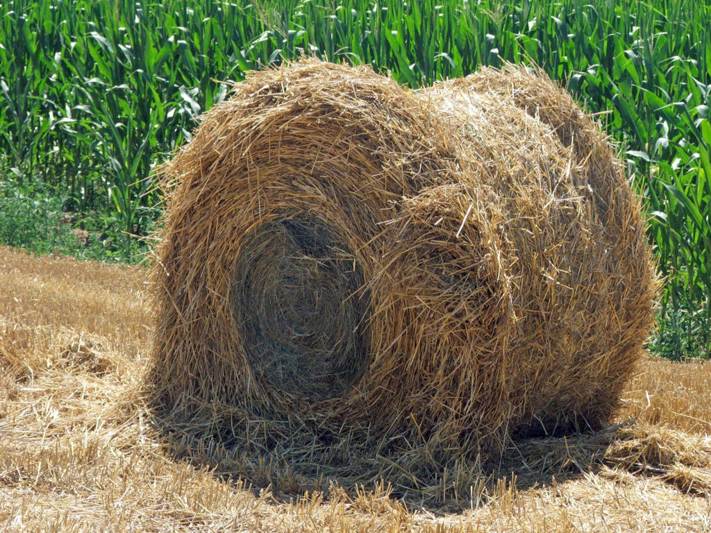 Fonds d'cran Nature Champs - Prairies Une meule...