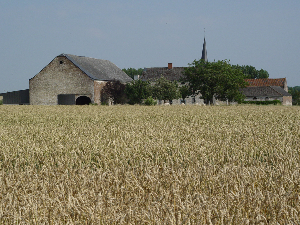 Wallpapers Nature Fields 