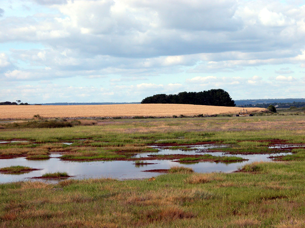 Wallpapers Nature Landscapes Marais