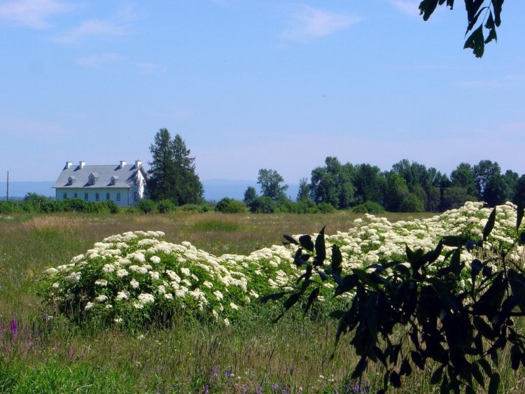 Fonds d'cran Nature Paysages MAISON ANCESTRALE