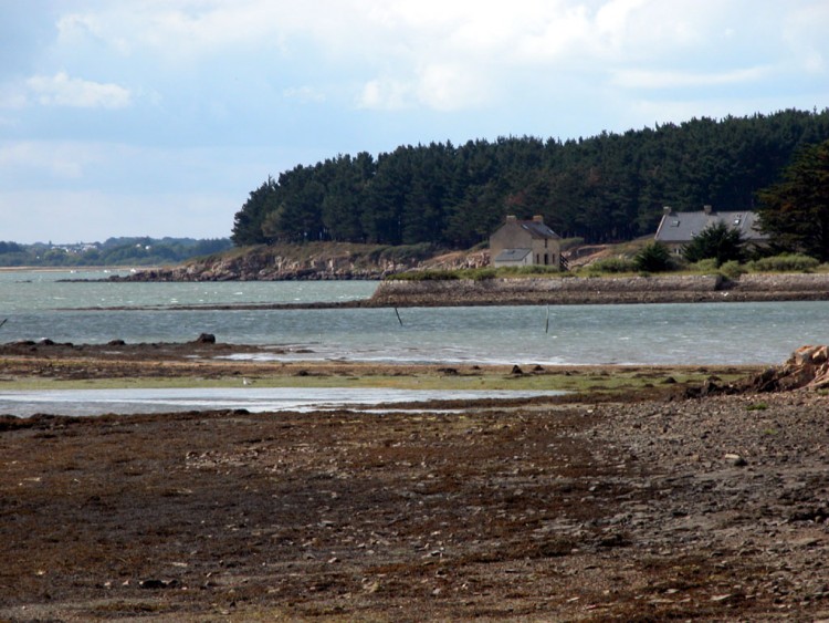 Fonds d'cran Nature Mers - Ocans - Plages Golfe du Morbihan.