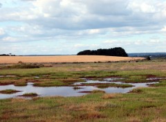 Fonds d'cran Nature Marais