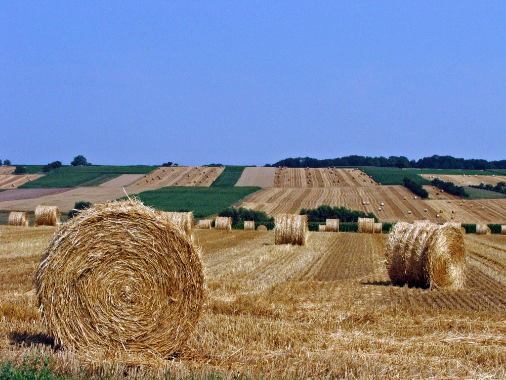 Fonds d'cran Voyages : Europe France > Alsace Des meules, des meules....