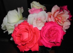 Wallpapers Nature Bouquet de roses