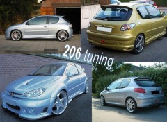 Wallpapers Cars 206 tuning