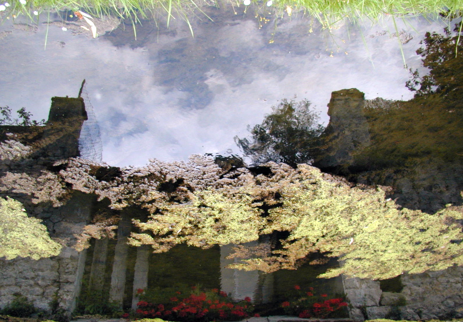 Wallpapers Nature Water - Reflection Reflets