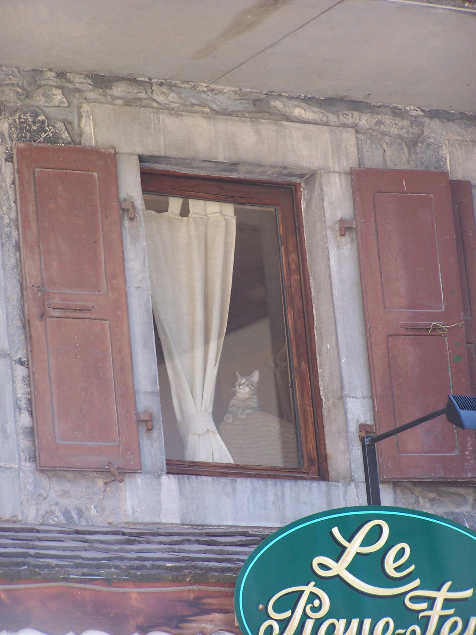 Fonds d'cran Animaux Chats - Chatons 