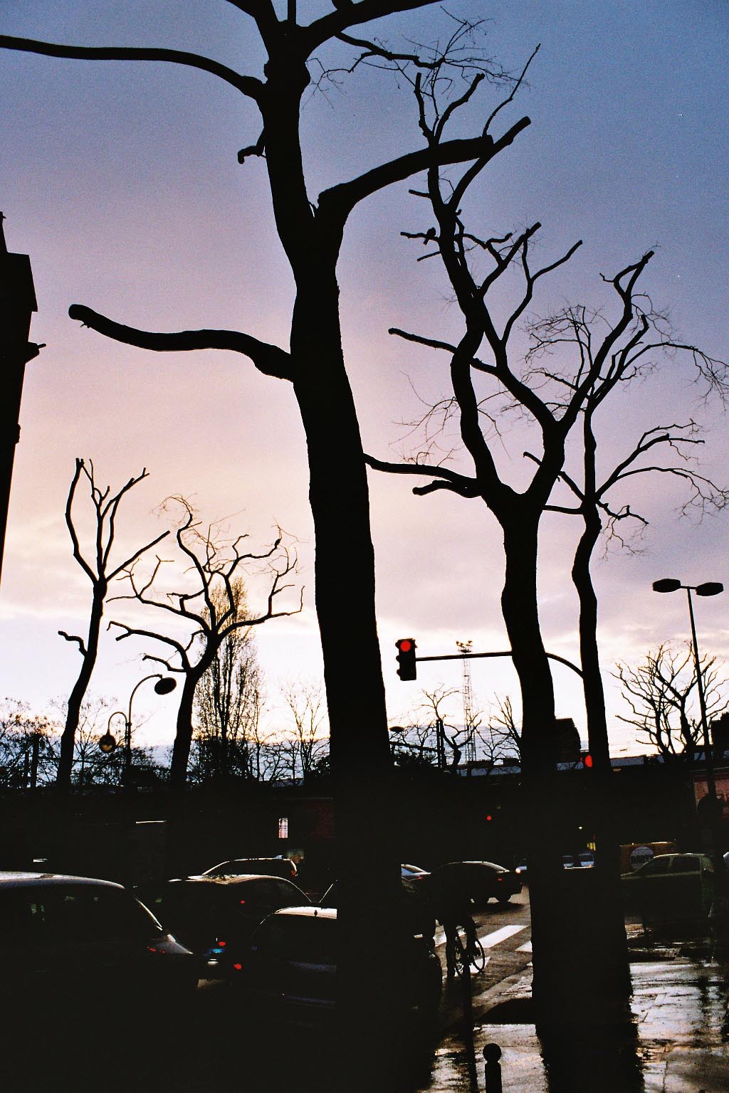 Fonds d'cran Nature Couchers et levers de Soleil arbres et villes