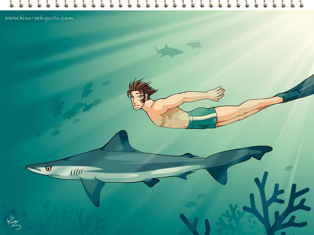 Wallpapers Manga Authors - Kinu Sekigushi Le Requin