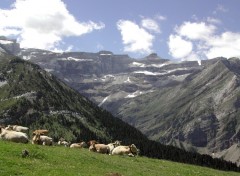 Wallpapers Nature Cirque de Gavarnie