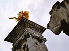 Fonds d'cran Voyages : Europe le lion et le cheval