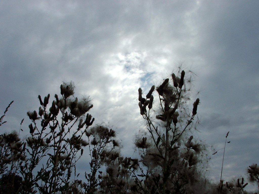 Fonds d'cran Nature Ciel - Nuages Troue dans les nuages....