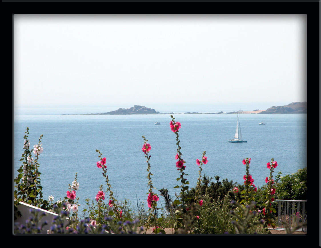 Fonds d'cran Nature Mers - Ocans - Plages Ile d'Houat