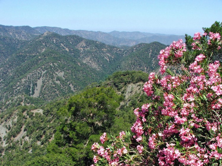 Fonds d'cran Voyages : Asie Chypre Ile de Chypre