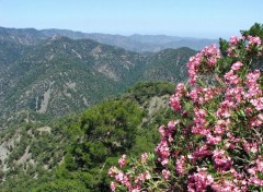 Fonds d'cran Voyages : Asie Ile de Chypre