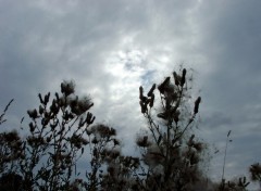 Wallpapers Nature Troue dans les nuages....