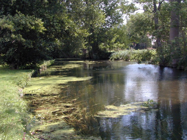 Fonds d'cran Nature Fleuves - Rivires - Torrents Le Fusain