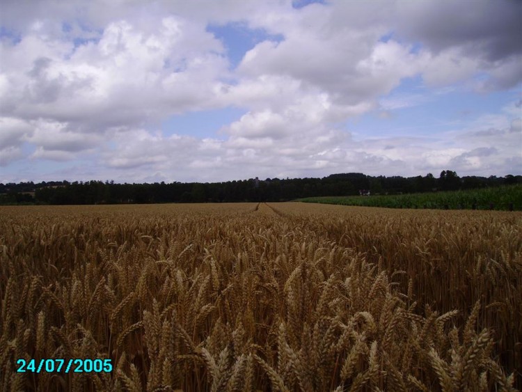 Fonds d'cran Voyages : Europe France > Normandie Normandie