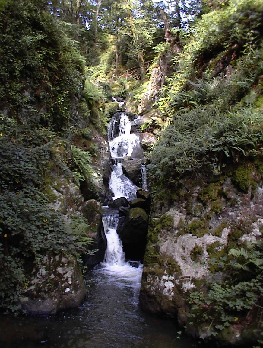 Fonds d'cran Nature Cascades - Chutes petite cascade