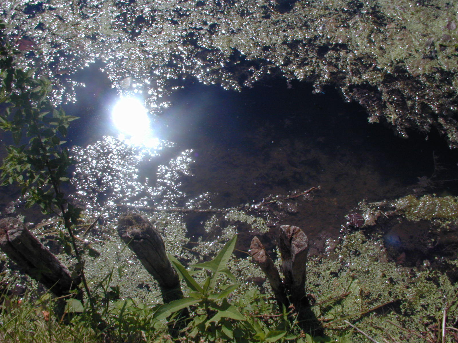 Fonds d'cran Nature Eau - Reflets Reflets